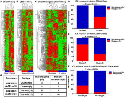 A Novel Immune Classification for Predicting Immunotherapy Responsiveness in Patients With Adamantinomatous Craniopharyngioma